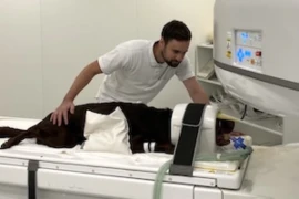 Grundlagen der MRT-Diagnostik_300x200.jpg