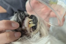 03.03.26 Image 300x200 (1).jpg