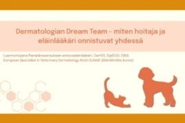 <span>Dermatologian Dream team – miten hoitaja ja eläinlääkäri onnistuvat yhdessä</span>
