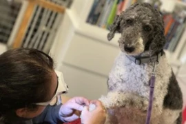 Image 11.06 (1) (1).jpg