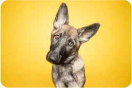 Image 06.08.26 (1).png