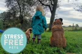 D_24_09_26_Kind_und_Hund_Problemverhalten_erkennen,managen_und_therapieren_Titelbild_300x200_logo.jpg