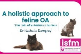 <span>A holistic approach to feline OA - the role of veterinary nurses</span>