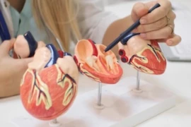 <span>Autark - der selbstbewusste Kardiologie Kurs</span>