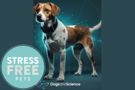 D_25_07_24_Hundeverhalten_verstehen_Wissenschaftlich_beobachten_interpretieren_und_anwenden_titelbild_300x200_logo.jpg