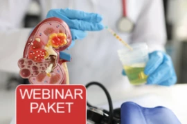  Webinar Paket - <span>Oberer Harntrakt bei Hund & Katze</span>