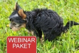 Webinar Paket - Gastro-Intestinal-Trakt beim Kleintier