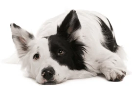 Is this love that I'm feeling or is it fear (1).png