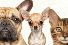 <span>Riskant - Notfallmedizin nach Nationale</span>