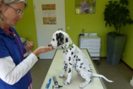 Webinar 2 Pic_300x200px.jpg