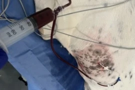 Image 02.12 300x200 (1)300.jpg