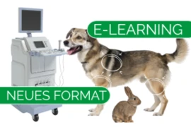 <span>Perspektive - der spezielle Ultraschall Kurs </span>(Schnupper-Modul 1 GRATIS)
