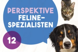 OA <span>aus Sicht der KatzenspezialistInnen</span>