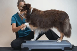 New Iamge for 10.03 (1).png