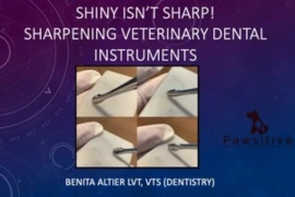 image 02.06 300x200 (1).jpg