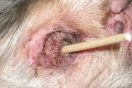 17.03.2026 (1)300.jpg