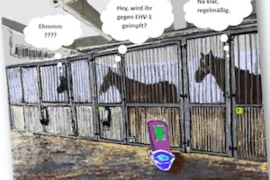 EHV_Infektion_300x200.jpg