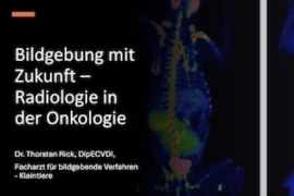 Bildgebung mit Zukunft_300x200.jpg