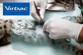 <span>WSAVA Reproduction Control Guidelines: Surgical and Non-Surgical Methods for Sterilization in Cats</span>