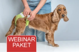 Titelbild_Webinar_Paket_untere_Harnwege mit Logo.png