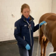 E_26_09_22_The Diarrhoea Roadmap in adult horses- Clinical Investigation and treatment_200x200_Speaker.png