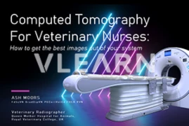 E_24_12_10_Picture_300x200_vlearn.png