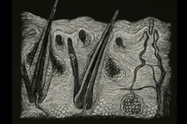 Balance - The Artistic Dermatology Course Dec/Jan 2027