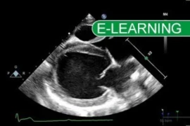 Cardiology 300x200 (1)w Tag.jpg