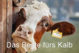 Das Beste fürs Kalb