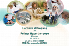 tiera-rzte-befragung-zu-feliner-hyperthyreose.png