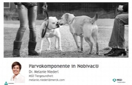 parvokomponente-in-nobivac.jpeg