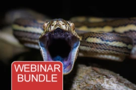 Webinar Bundle - Welcome to Australia