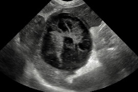 M2 Image.jpg