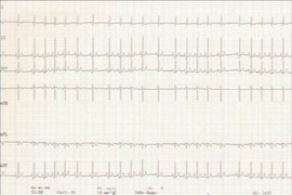 physiology-of-the-cardiovascular-system-what-a-veterinary-nurse-needs-to-know-1.jpeg
