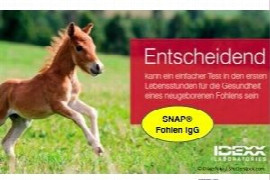 snapa-fohlen-igg.jpeg