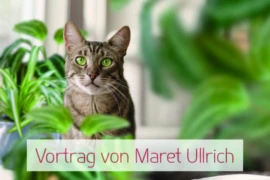 „Born to be wild“- wichtige Zoonosen der Katze (Fr. Ullrich)