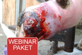 Webinar Paket - Nutztiere