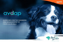 starting-from-scratch-an-approach-to-canine-pruritus-1.jpeg