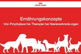 erna-hrungskonzepte.jpeg