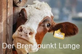 Der Brennpunkt Lunge