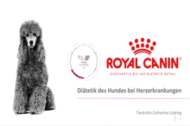 Diätik Hund Herzerkrankungen_300x200.jpg