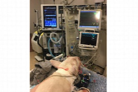 nursing-the-ventilator-patient-for-nurses-1.jpeg