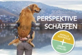 Die idiopathische canine Epilepsie - state of the art 2022