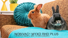 nobivac-myxo-rhd-plus-1.jpeg