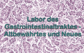 labor-des-gastrointestinaltraktes-altbewa-hrtes-und-neues.jpeg
