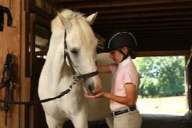 Gestion des plaies du cheval, intérêt de la kétansérine en pratique
