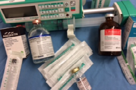 perioperative-schmerztherapie-beim-kleintier.png