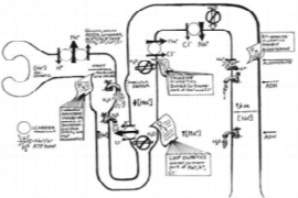 physiology-of-the-renal-system.png