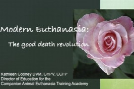 Modern Euthanasia: The good death revolution (for Nurses)