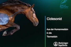 Ciclosonid_300x200.jpg